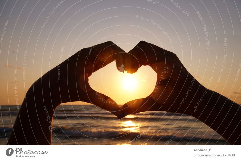 hand shaped heart in front of the suset, friendship love hands sunset together beach relationship gesture vacation couple summer summertime sunrise sea travel