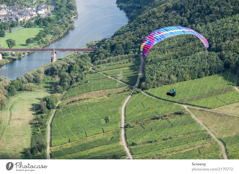flyby Vacation & Travel Tourism Trip Adventure Summer Sports Paragliding Paraglider Human being Masculine 1 Nature Landscape Plant Water Beautiful weather Hill