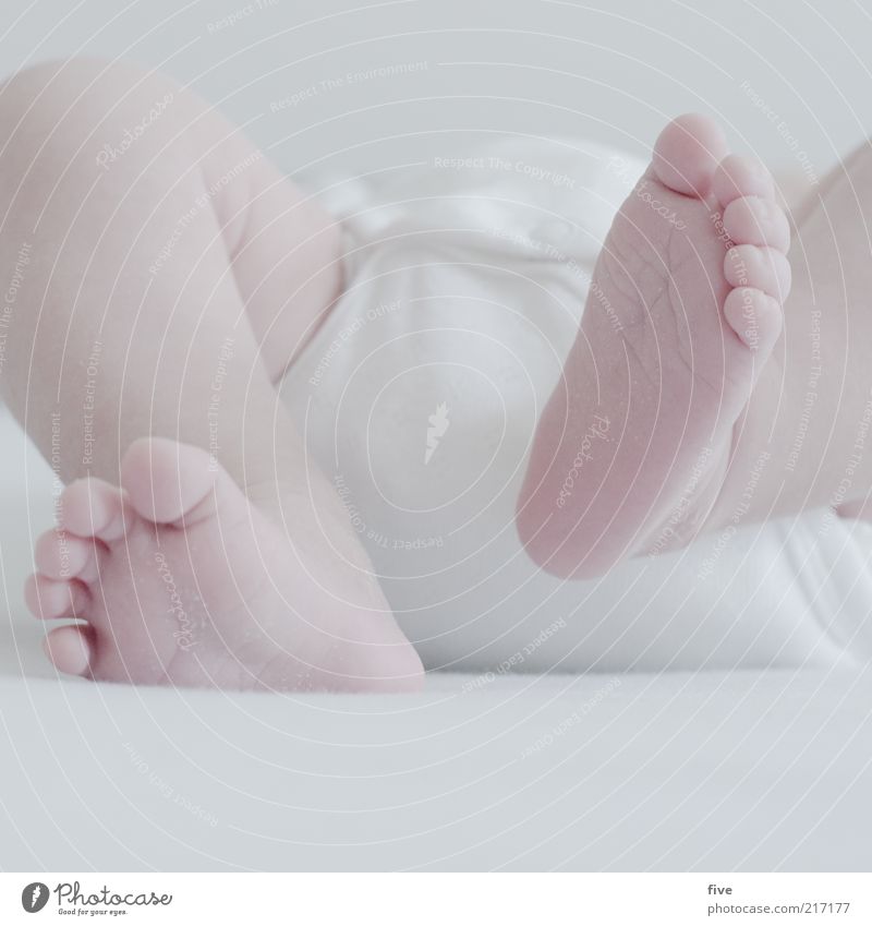 new world / part 5 Bed Human being Baby Toddler Infancy Legs Feet Toes 1 0 - 12 months Lie Growth White Emotions Contentment Colour photo Interior shot Day