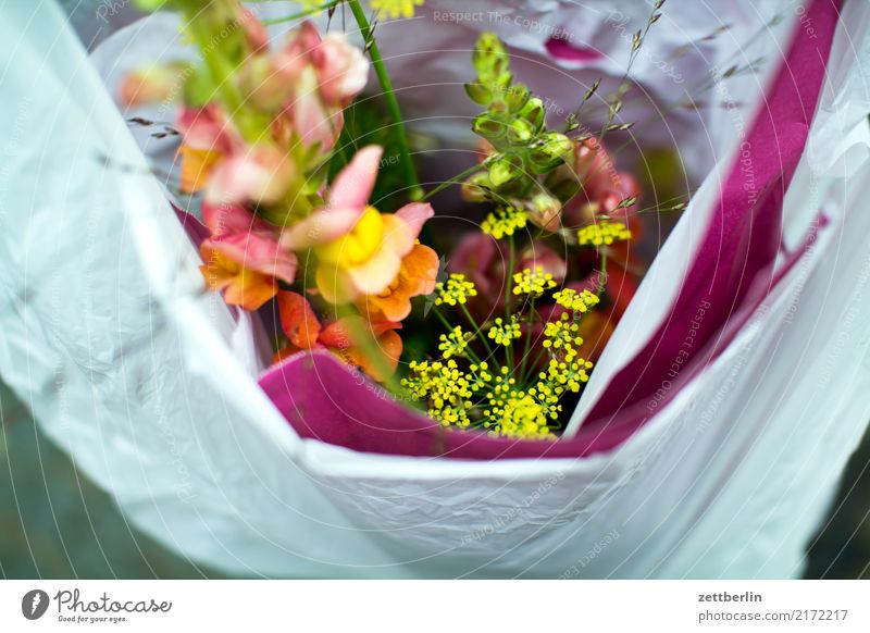 birthday Bouquet Flower Blossom Birthday Gift Paper bag Plastic bag Packaging Sack Packaged Box up Logistics Carrying Bag