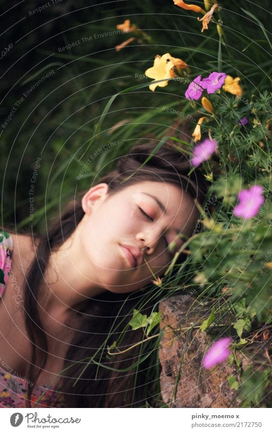 flower dream Feminine Young woman Youth (Young adults) Face 1 Human being 18 - 30 years Adults Nature Plant Flower Grass Blossom Brunette Long-haired Emotions
