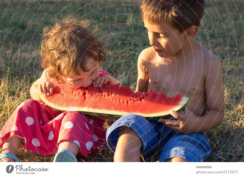 Siblings eating giant slice of ripe summer watermelon Fruit Joy Summer Child Boy (child) Sister Warmth Meadow Smiling Juicy Red kid healthy Water melon bite