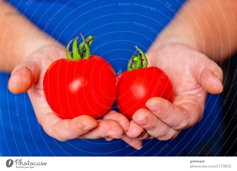 two ripe tomatoes in hands Vegetable Fruit Nutrition Diet Garden Hand Fingers Nature Plant Dirty Fresh Natural Blue Green Red White Colour Farmer volunteer