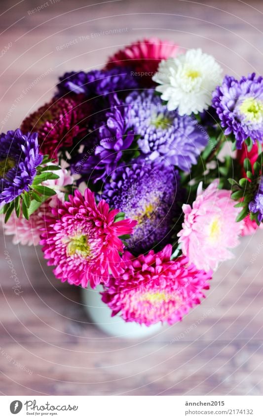 autumn bouquet Aster Flower Autumn Nature Vase Bouquet Blossom Pick Pink White Yellow Green Violet Gift Donate