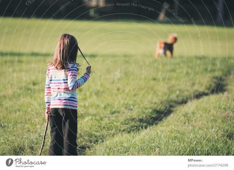 friends Human being Child Girl 1 Animal Pet Dog Playing Joy Attentive Stick Grass Meadow Skeptical Lanes & trails Fear Colour photo Copy Space top Sunlight