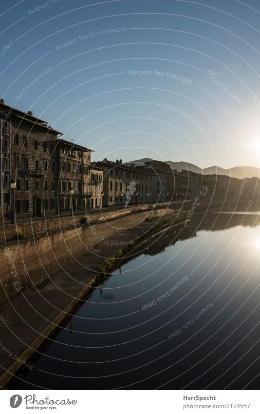 Arno morning Vacation & Travel Tourism Trip Sightseeing City trip Cloudless sky Summer Beautiful weather River bank Pisa Tuscany Downtown Old town