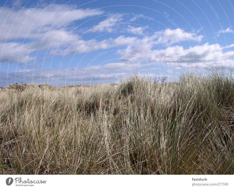 best of scotish beach weather Scotland Great Britain Beach Clouds Grass Blue Sky