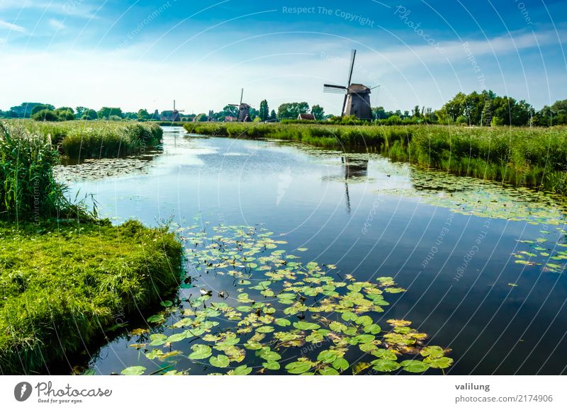 Traditional Dutch windmill Vacation & Travel Tourism Landscape Park River Building Architecture Green Alkmaar Europe Netherlands colorful field Mill water