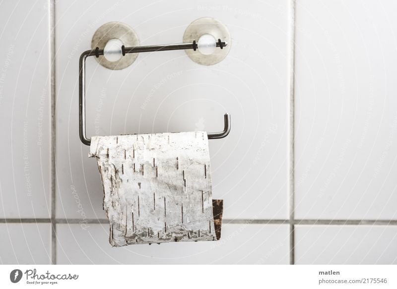 organic Deserted Wall (barrier) Wall (building) Toilet paper Hang Turquoise White Toilet paper holder Suction pad Tile Birch bark Organic produce Interior shot