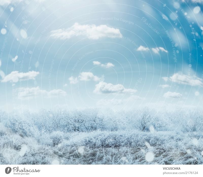 Winter frosty day landscape Lifestyle Garden Christmas & Advent Nature Landscape Sky Beautiful weather Tree Grass Bushes Park Background picture Frost