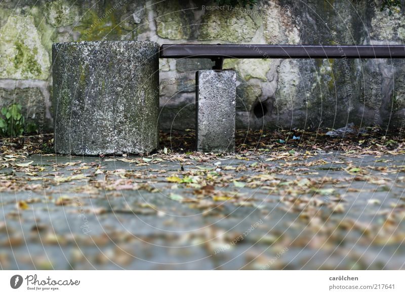 Oasis East Deserted Wall (barrier) Wall (building) Gray Green Bench Trash container Shallow depth of field Seating Moss Shabby Soviet zone Memory Stationary