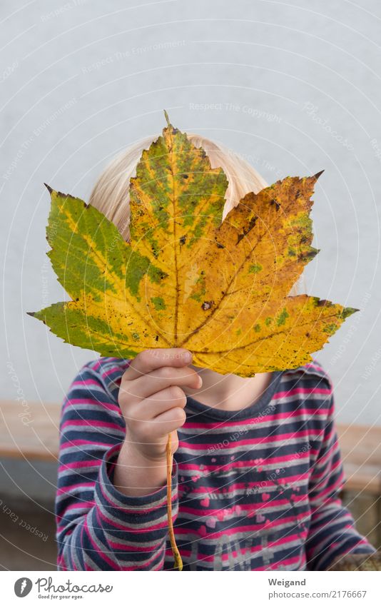 autumn child Life Harmonious Parenting Education Kindergarten Child Human being Toddler Girl Family & Relations 1 3 - 8 years Infancy Leaf Brash Free