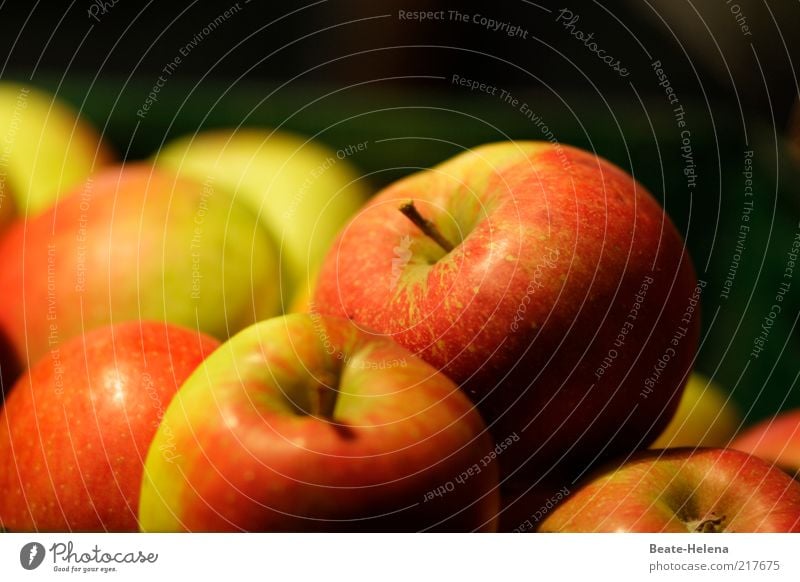 An apple a day keeps the doctor away Apple Nutrition Organic produce Vegetarian diet Healthy Life Autumn Diet Red Joie de vivre (Vitality) Quality Apple harvest