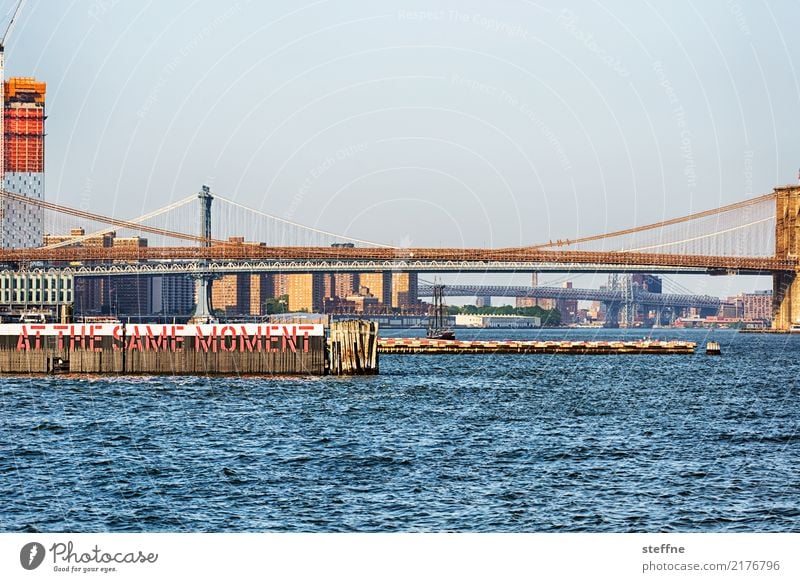 Bridge day: Brooklyn and Manhattan Town New York City Brooklyn Bridge Manhattan Bridge Staten Island Ferry Termina East River Colour photo Exterior shot