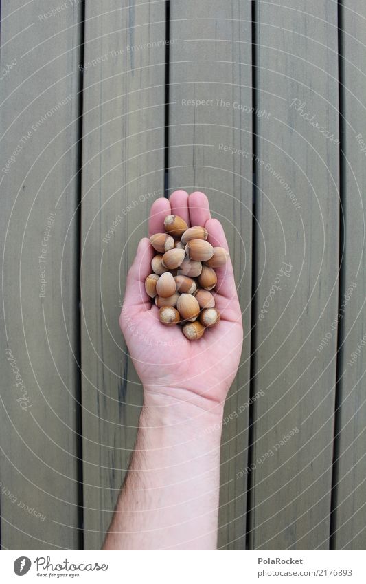 #S# A handful of nuts Nature Appetite Hand Hazelnut Hazel brown Eating Beige Nut Gift Vegan diet Full Colour photo Exterior shot Copy Space right Day