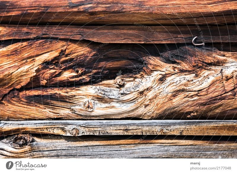 Wood with history Nail Wood grain Wooden wall Old Exceptional Authentic Uniqueness Brown Discover Nature Whimsical Decline Crack & Rip & Tear Uneven Distorted