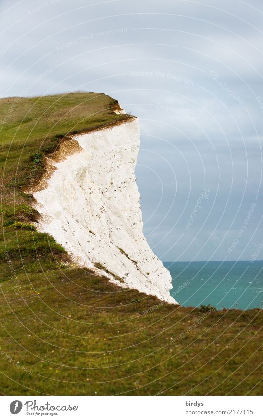 Chalk cliff - at the abyss Landscape Clouds Horizon Summer Autumn Meadow Coast Ocean Atlantic Ocean Cliff Limestone rock Authentic Threat Tall Natural Safety