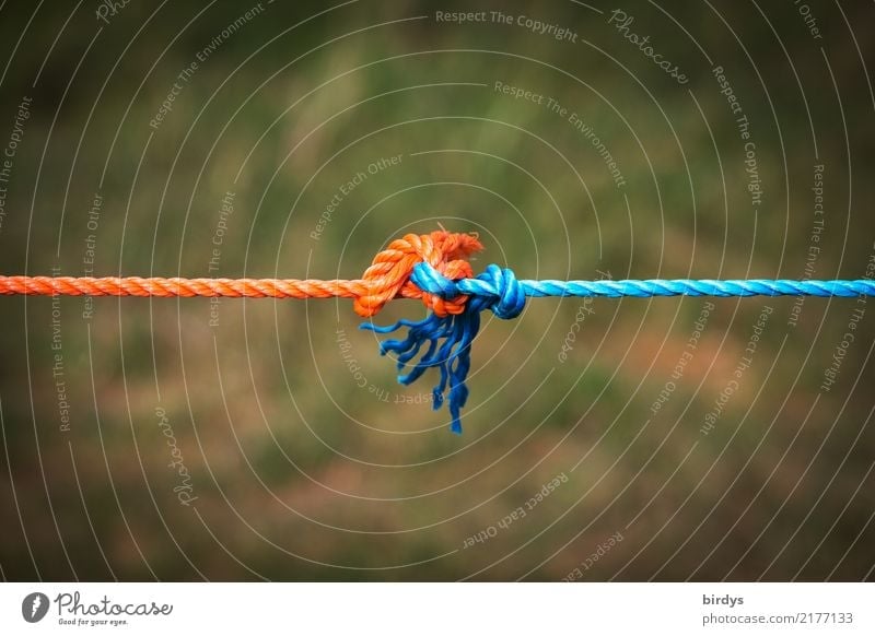 Withstand voltage together Rope Line Knot To hold on Simple Together Positive Blue Orange Optimism Power Trust Love Loyalty Solidarity Endurance Stress