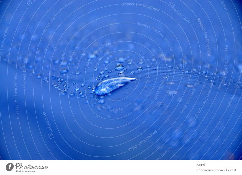 I'll get out of here. Water Drops of water Summer Rain Fluid Fresh Cold Small Near Wet Clean Blue Colour photo Exterior shot Detail Copy Space top
