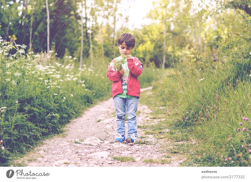 child with flowers in spring Lifestyle Joy Human being Masculine Child Toddler Boy (child) Infancy 1 3 - 8 years Environment Nature Spring Plant Flower Garden