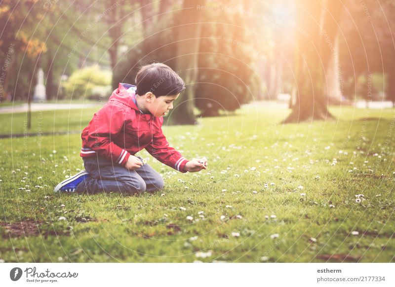 boy sitting in the park in spring Lifestyle Joy Leisure and hobbies Children's game Human being Masculine Toddler Boy (child) Infancy 1 3 - 8 years Environment