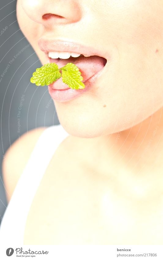 freshness Woman Human being Mint Mouth Tongue Sense of taste Bad breath Fresh Breath Eating Dental care Teeth Cleaning Good Copy Space bottom Skin Leaf Nose