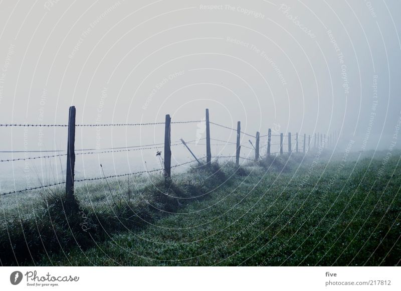 fence into nothing Environment Nature Landscape Autumn Bad weather Fog Plant Grass Foliage plant Meadow Field Dark Cold Fence Fence post Wire Colour photo