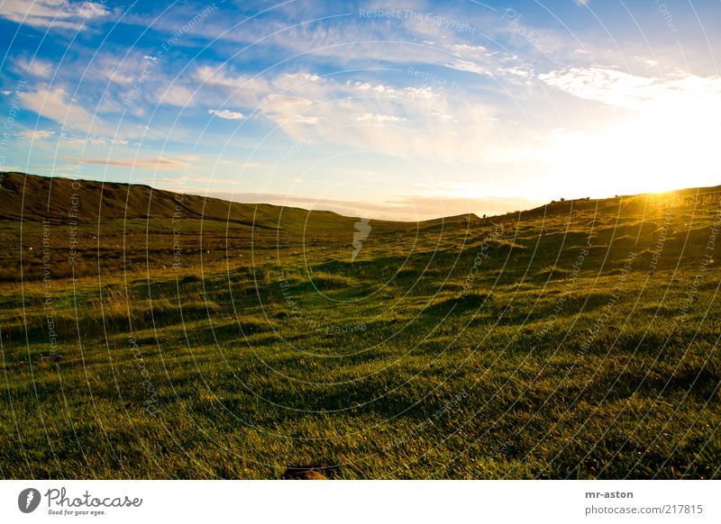 Sunset Far-off places Freedom Nature Landscape Plant Earth Sky Clouds Horizon Sunrise Sunlight Autumn Beautiful weather Grass Meadow Hill Old Infinity Blue