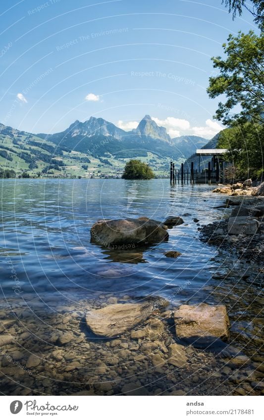 Lake with mountains in background Walensee Switzerland Alps Lakeside bank Horizon Water stones Stone Mountain Nature Landscape Sky Blue Exterior shot