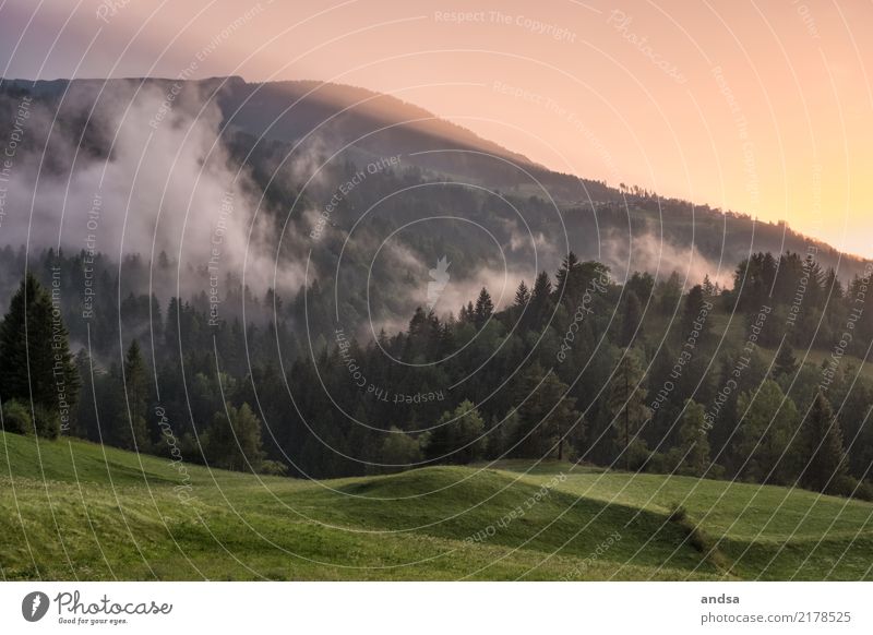 Sunset in the mountains Moody Sunrise Light Nature Meadow Hill Green Clouds High fog Low cloud Forest firs trees Landscape Alps Mountain Sky Environment