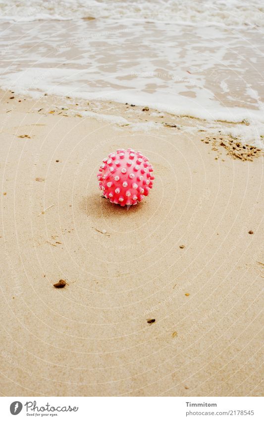What do we do now? Vacation & Travel Environment Nature Sand Water Beach North Sea Denmark Ball Plastic Lie Red White Burl Beige White crest Colour photo
