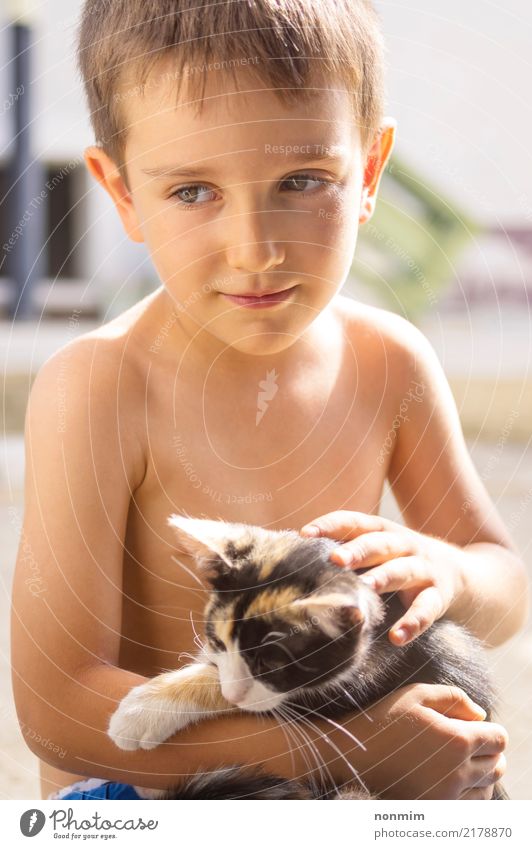 A boy posing with a kitten Summer Child Boy (child) Friendship Infancy Animal Warmth Fur coat Pet Cat Love Together Hot Small Cute Illuminate Kitten backlit