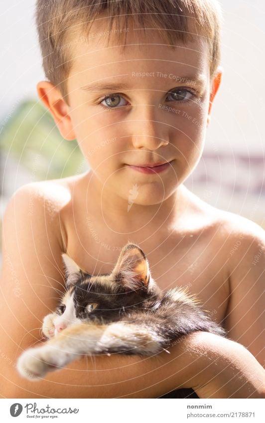 A boy posing with a kitten Summer Child Boy (child) Friendship Infancy Animal Warmth Fur coat Pet Cat Love Together Hot Small Cute Illuminate Kitten backlit