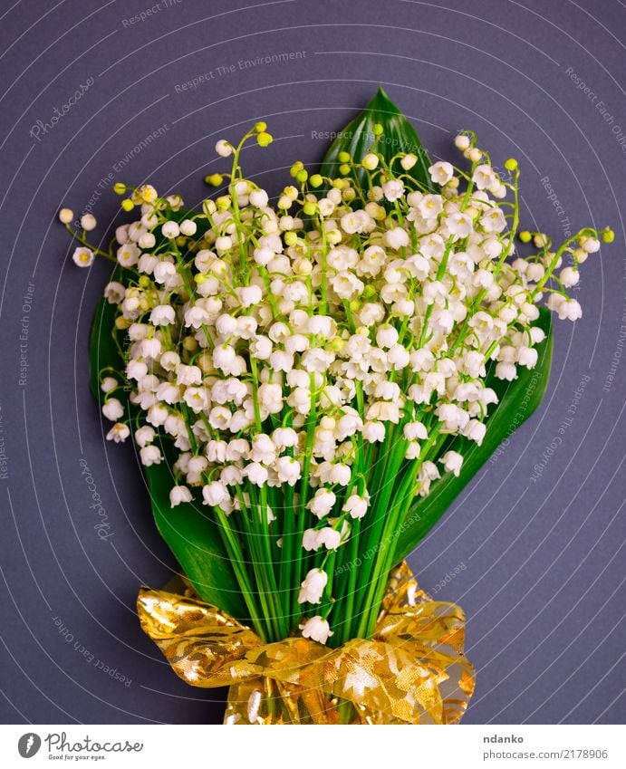 bouquet of blossoming lilies of the valley Beautiful Summer Garden Plant Flower Leaf Blossom Bouquet Blossoming Fresh Natural Green Black White Valley spring