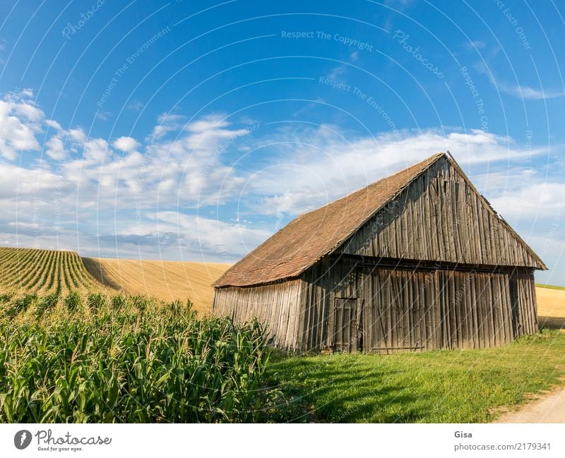 Barn takes late sunbathing Vacation & Travel Tourism Trip Cycling tour Summer vacation Hiking cycling holiday Culture Country life Agriculture Nature Landscape