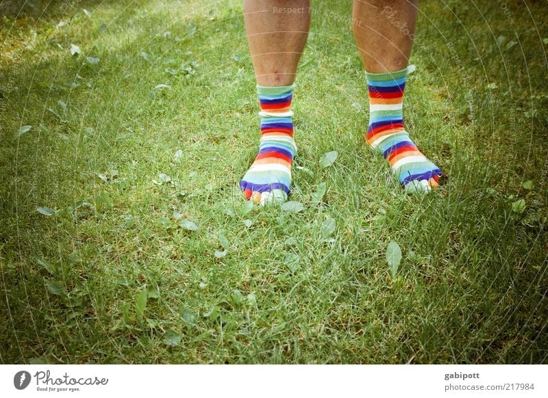 striped socks Masculine Man Adults Life Legs Feet 1 Human being Fashion Stockings Esthetic Exotic Hip & trendy Uniqueness Cuddly Joie de vivre (Vitality)