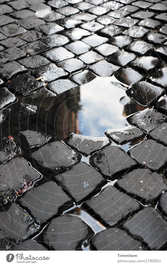 Head-stone-picture. Stone Water Simple Blue Gray Black White Paving stone Cobbled pathway Puddle Colour photo Exterior shot Deserted Day Reflection