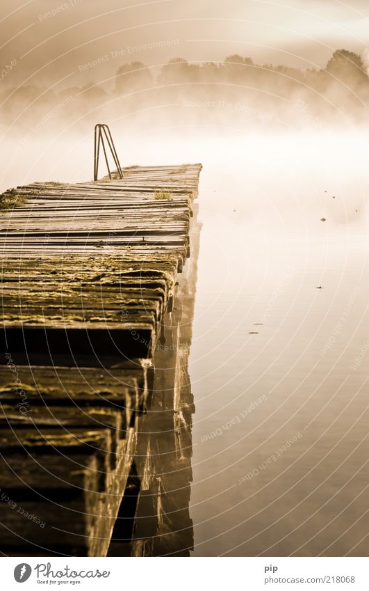 at the end of time Environment Nature Elements Water Autumn Fog Lakeside Mecklenburg-Western Pomerania Wood Wanderlust Calm Morning Wooden board Ladder