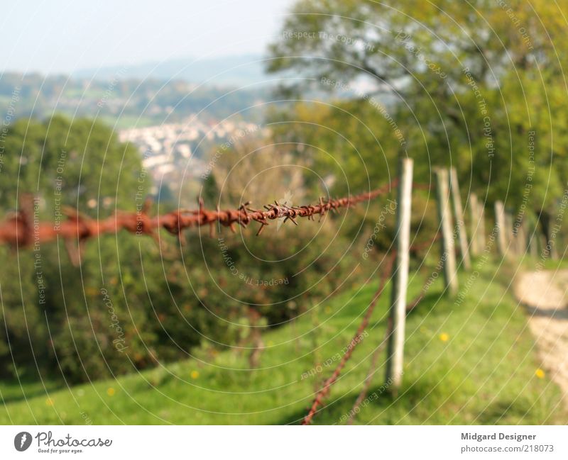 Spiked wire fence Nature Landscape Summer Autumn Weather Beautiful weather Tree Grass Meadow Hill Colour photo Exterior shot Experimental Deserted