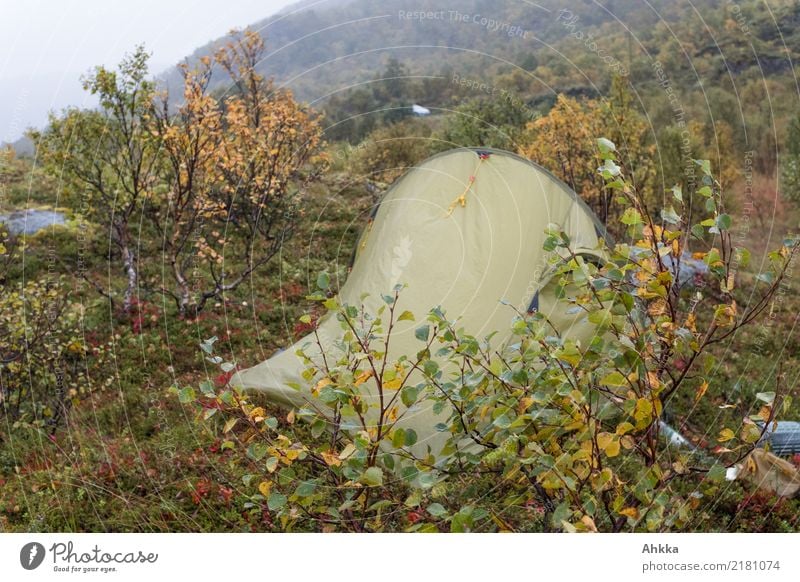 Tent in autumn storm, Norway Adventure Camping Nature Autumn Climate Bad weather Storm Gale Rain Wet Wild Protection Colour photo Exterior shot Deserted
