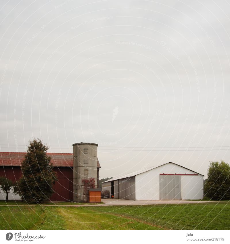 agricultural enterprise Sky Tree Grass Field Village Manmade structures Building Hall Farm Silo Gloomy Colour photo Exterior shot Deserted Copy Space top