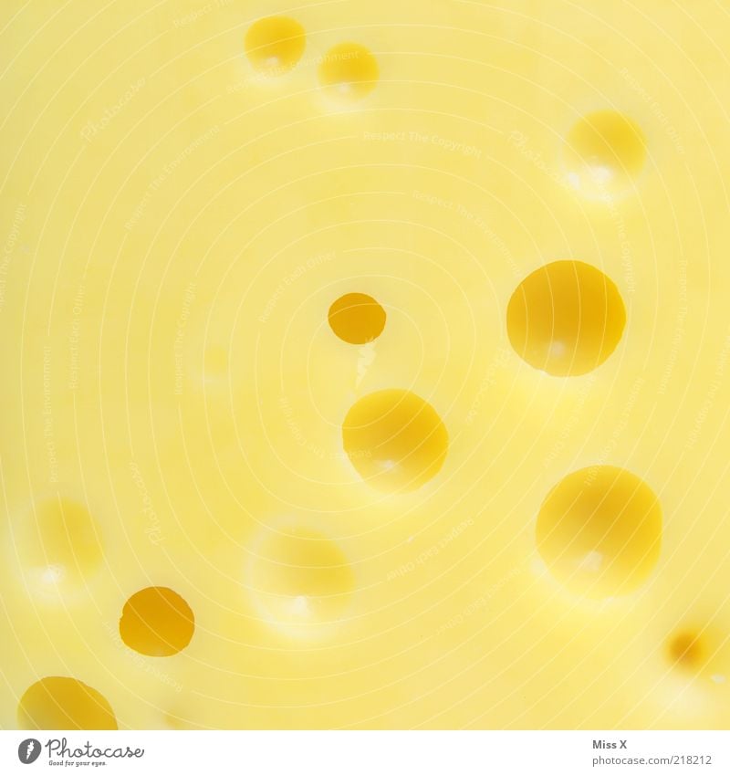 holes Food Cheese Dairy Products Nutrition Organic produce Delicious Yellow Swiss cheese Cheese slice Hollow Bubble Round Smelly Colour photo Multicoloured