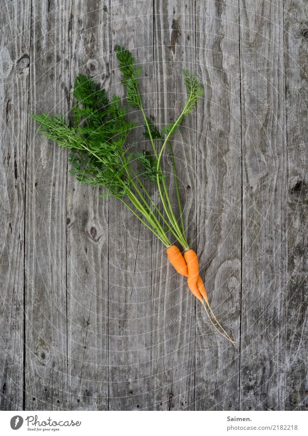 Love is in the earth... Nature Summer Agricultural crop Garden Healthy Uniqueness Colour Life Passion Organic produce Carrot Whorl Nutrition Orange Green Wood
