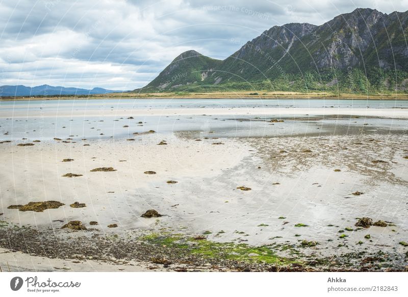 Beach in Norway, Lofoten, sand and mountains Relaxation Calm Vacation & Travel Far-off places Ocean Mountain Coast Lofotes Serene Contentment Nature Stagnating
