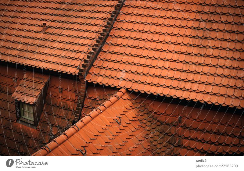 Meissen from above Germany Roof Skylight Roofing tile Red Closed Many Colour photo Exterior shot Detail Pattern Structures and shapes Deserted Copy Space right