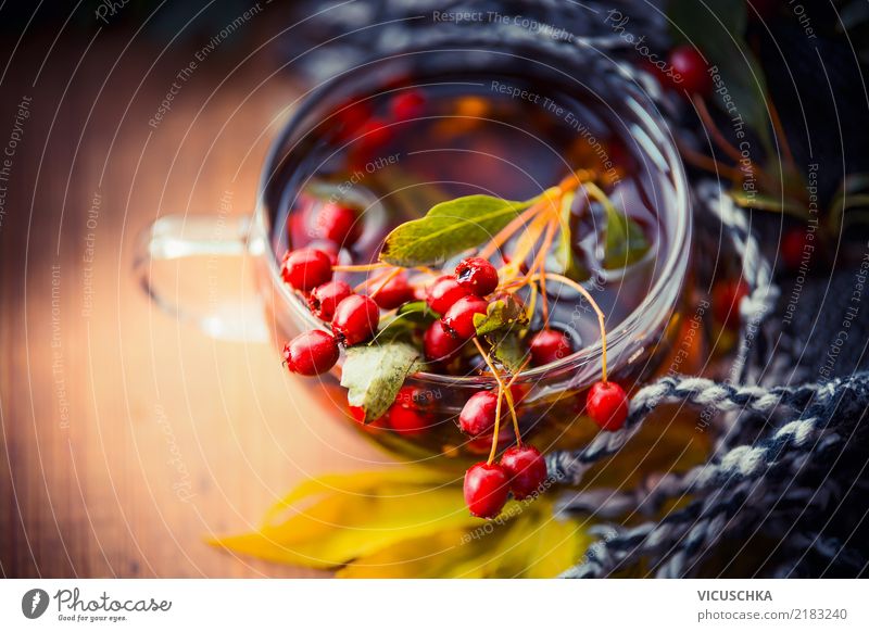 cup autumn tea with red berries, autumn leaves and scarf Beverage Hot drink Tea Lifestyle Style Design Healthy Healthy Eating Living or residing Nature Autumn