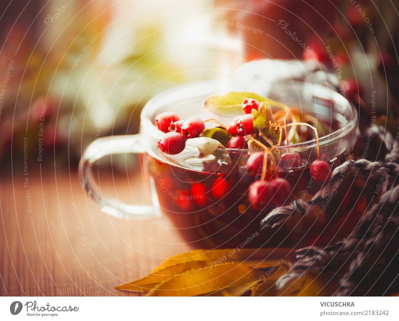 Autumn cup of tea with red berries of hawthorn Beverage Hot drink Tea Lifestyle Style Design Healthy Alternative medicine Relaxation Living or residing Garden