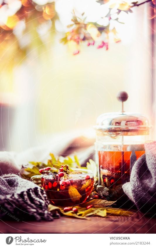 Autumn. Tea. windows Beverage Hot drink Crockery Cup Lifestyle Style Design Healthy Eating Living or residing Flat (apartment) Table Nature Warmth Scarf Yellow