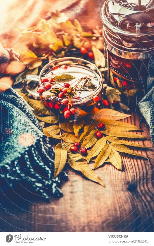 Cup of tea with autumn berries Lifestyle Style Design Alternative medicine Healthy Eating Living or residing Garden Hallowe'en Nature Autumn Yellow Moody
