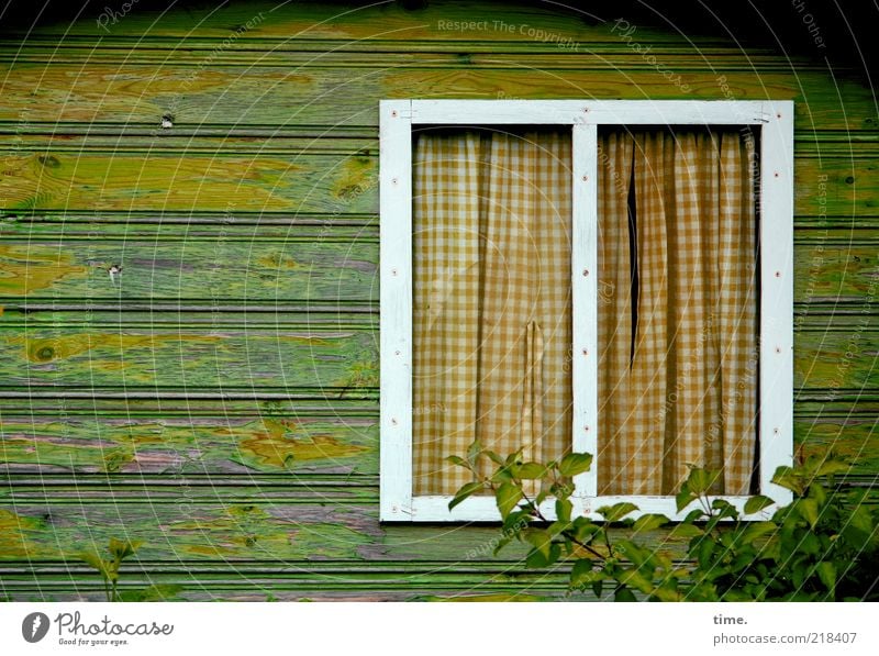 Peace to the huts Living or residing House (Residential Structure) Wooden hut Window Curtain Green incurred Drape Bushes Plant Profiled Timber Wooden board